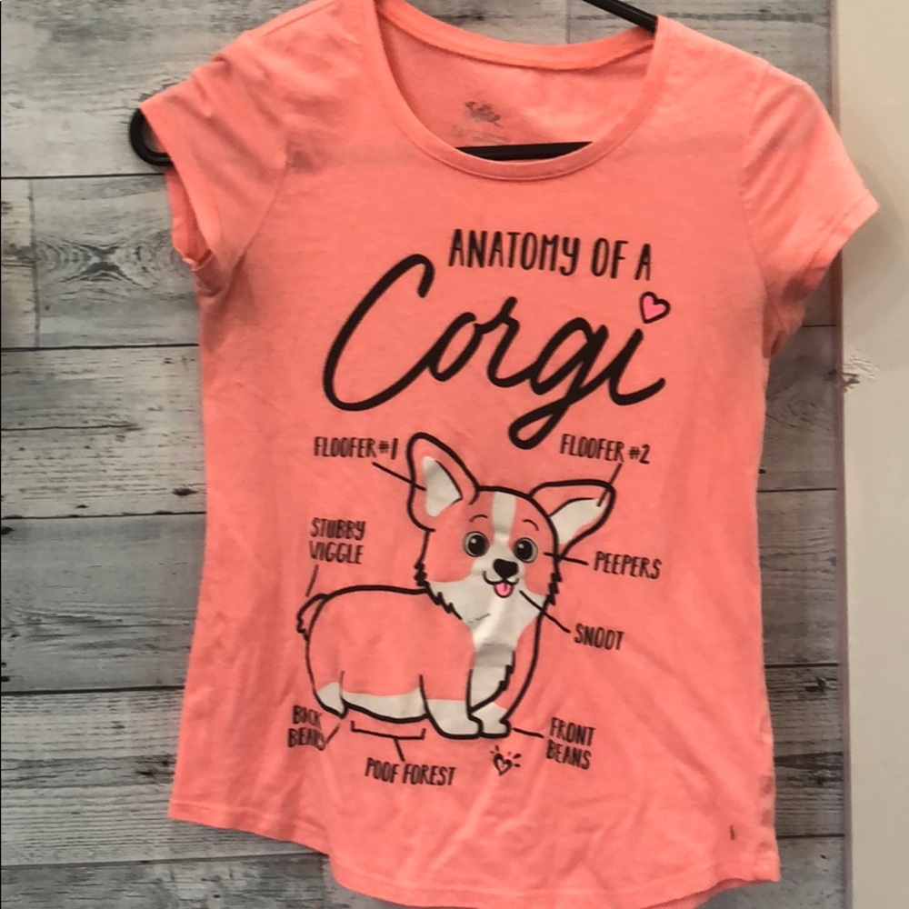 Light Pink Corgi Shirt
